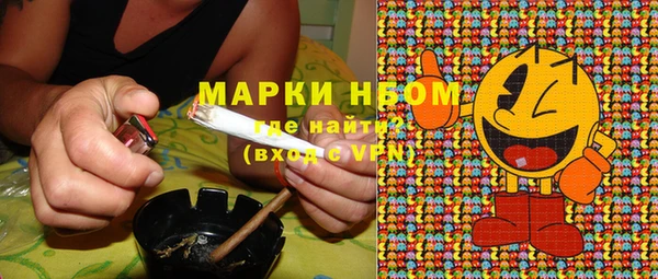 гидра Аркадак