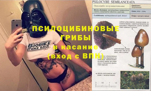 марихуана Саяногорск