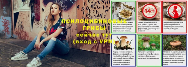гашик Алексеевка