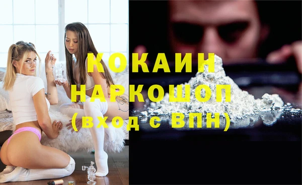 гашик Алексеевка