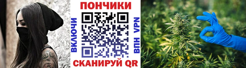 Конопля план  купить  цена  Краснотурьинск 